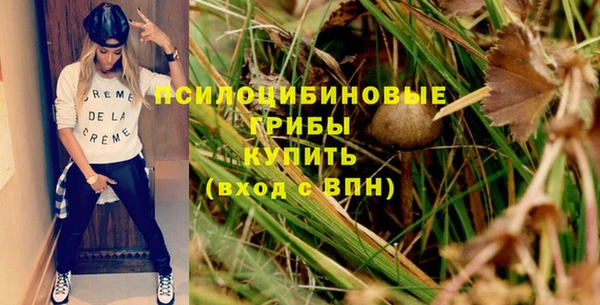 дмт Зеленокумск
