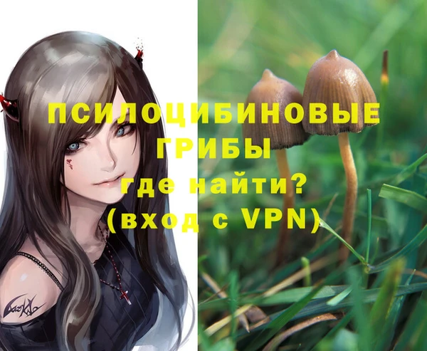 гидропоника Зерноград