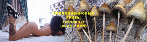 дмт Зеленокумск