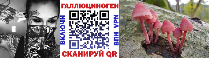 Купить  Болгар  Псилоцибиновые грибы Magic Shrooms 